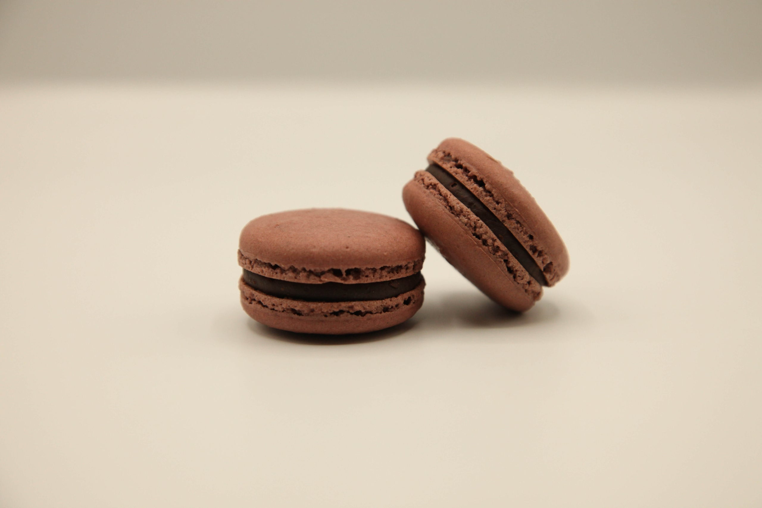 Chocolate Macaron | Praliné French Pastries